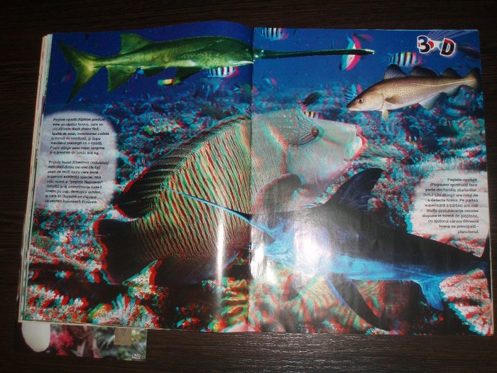 Vand revista BioPlanet Rechinii si misterele lor   DVD Aventuri in Brazilia; Vand revista BioPlanet Rechinii si misterele lor   DVD Aventuri in Brazilia
