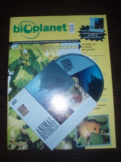 Vand revista BioPlanet Balaurul Dobrogean   DVD Animal Business - Vand reviste si Dvd