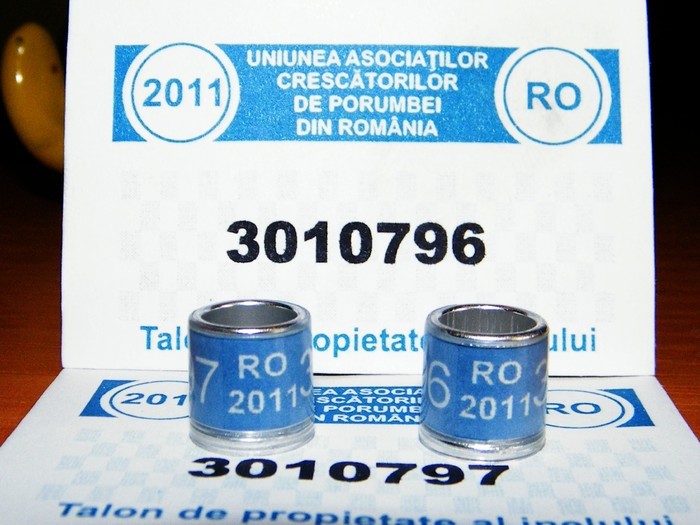 2011-UCPR-normale