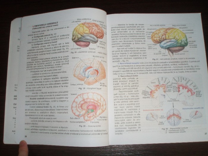 Vand manual biologie Ioana Arinis clasa 11 XI; Vand manual biologie Ioana Arinis clasa 11 XI
