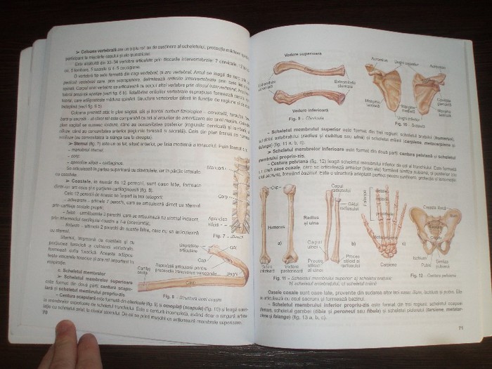 Vand manual biologie Ioana Arinis clasa 11 XI; Vand manual biologie Ioana Arinis clasa 11 XI
