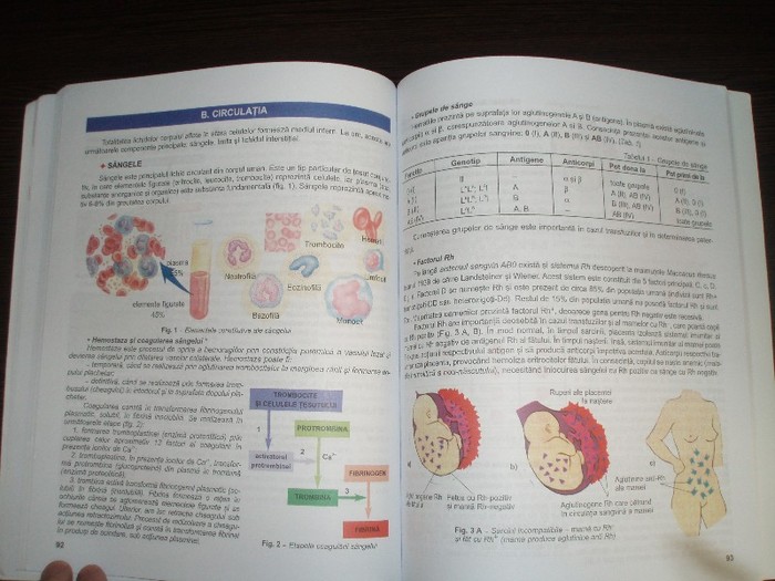 Vand manual biologie Ioana Arinis clasa 11 XI; Vand manual biologie Ioana Arinis clasa 11 XI
