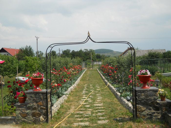 mai am de adus lespezi de piatra