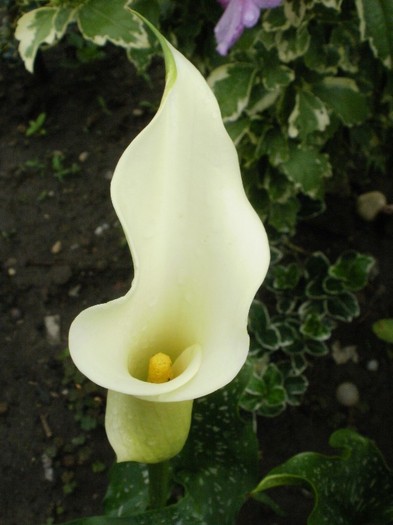 P7030015