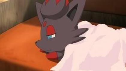  - Zorua a mea