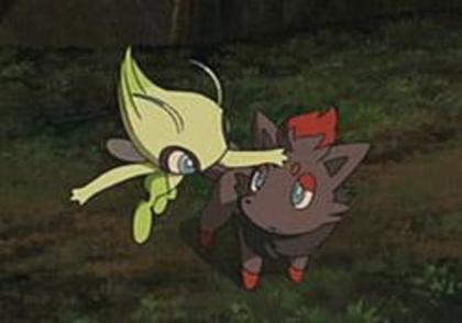 Emo si Celebi - Zorua a mea