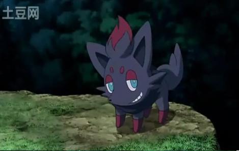  - Zorua a mea