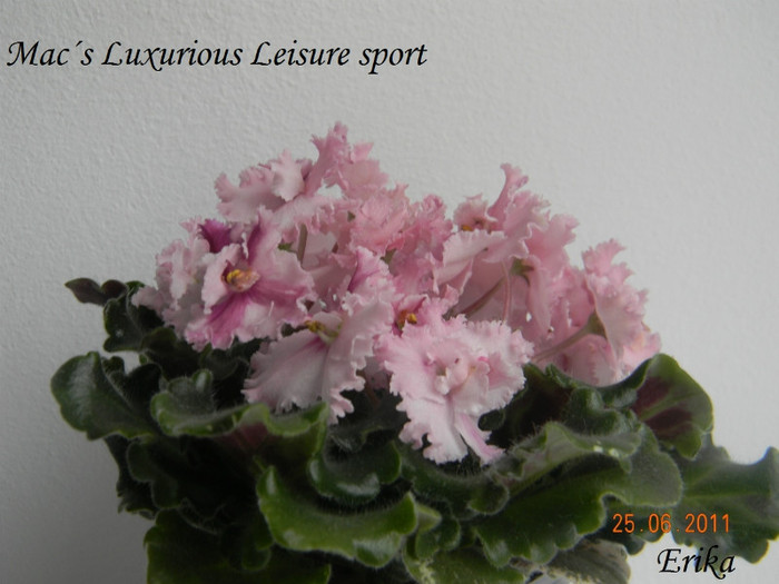 Mac´s Luxurious Leisure sport 25-06-2011