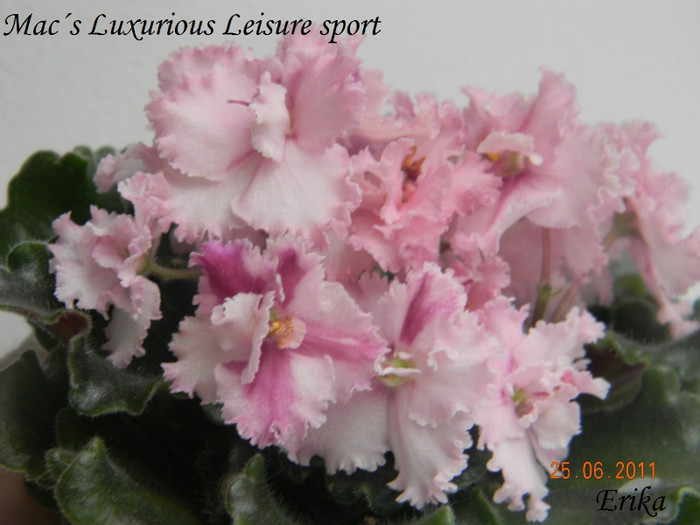 Mac´s Luxurious Leisure sport 25-06-2011\'\'