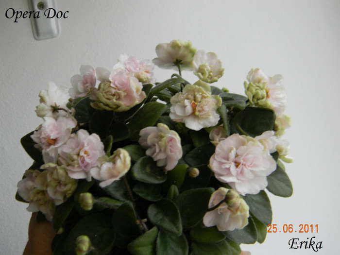 Opera Doc 25-06-2011\'\'\'\'