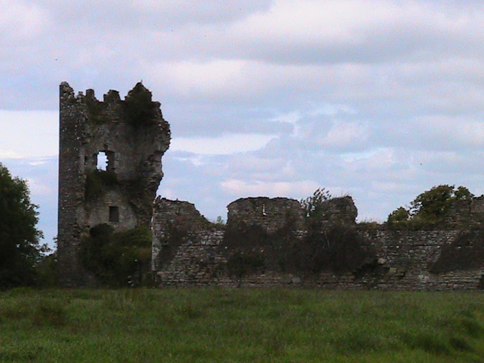 UN CASTEL PARASIT - APE SI CASTELE VECHI