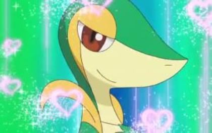 Snivy e uimitoare cand face Attract!:X