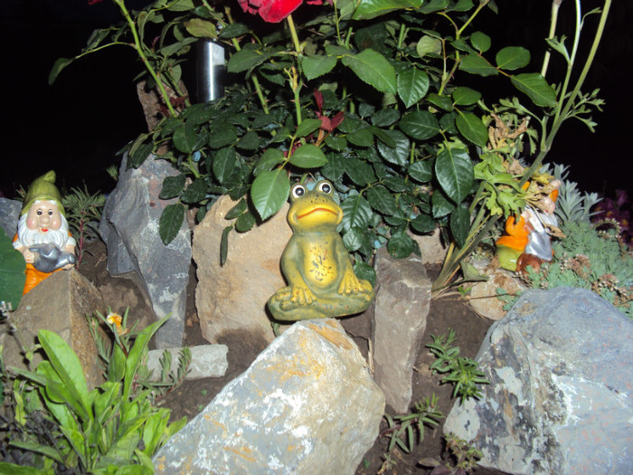 DSC09214 - GRADINA  2011