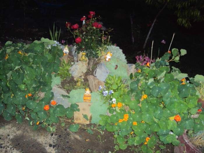 DSC09217 - GRADINA  2011