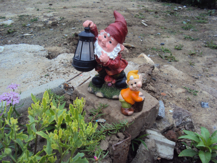 DSC09223 - GRADINA  2011