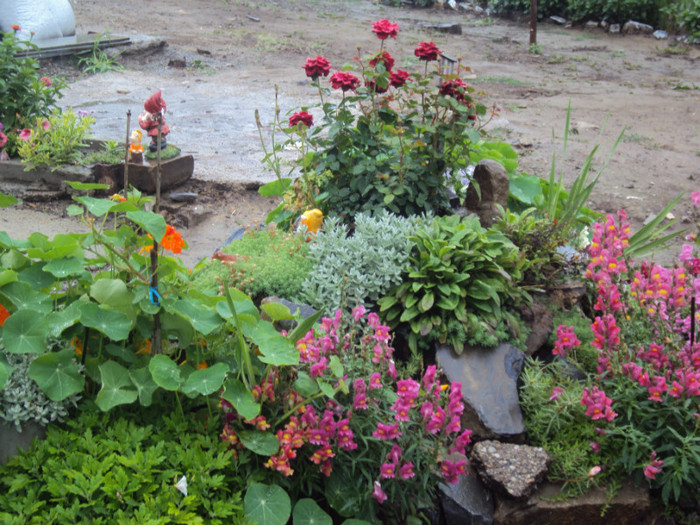 mix - GRADINA  2011