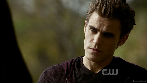 4123724596_b8a9b086ec - THE VAMPIRE DIARIES