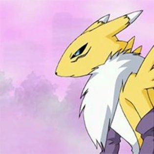 Renamon este fff. puternica. - Renamon si Gatomon