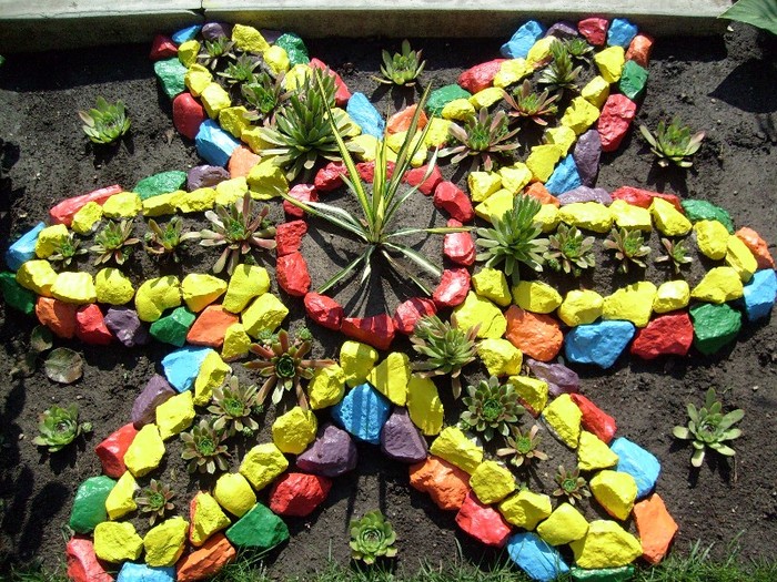 stancaria mea - Florile din gradina casei-2010-2011