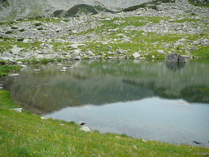 P1290274