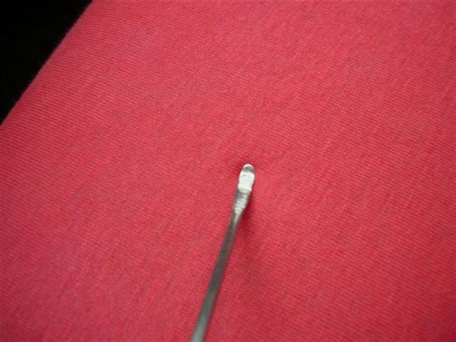P1020636 (Medium) (Small)