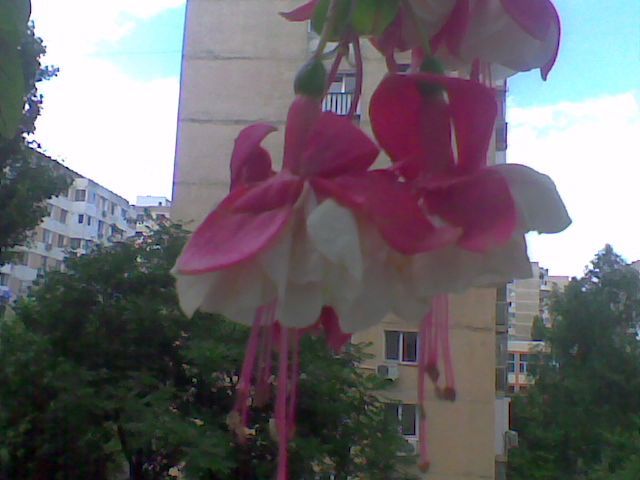 Imag021