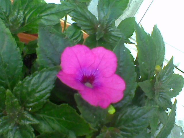 Imag024