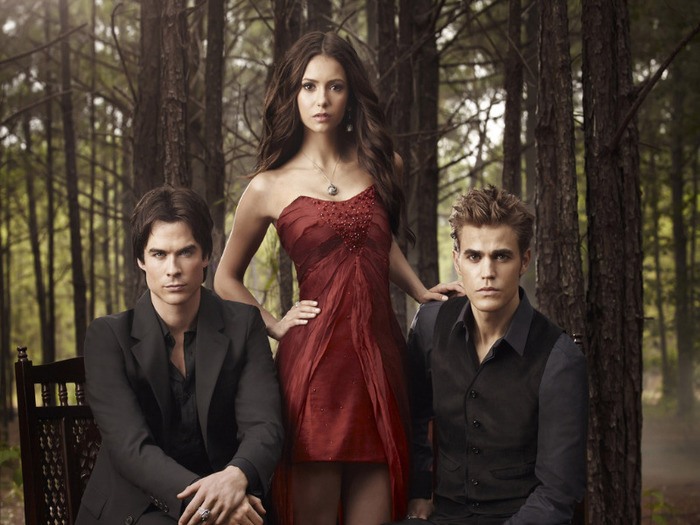 The-Vampire-Diaries-the-vampire-diaries-20830152-1024-768