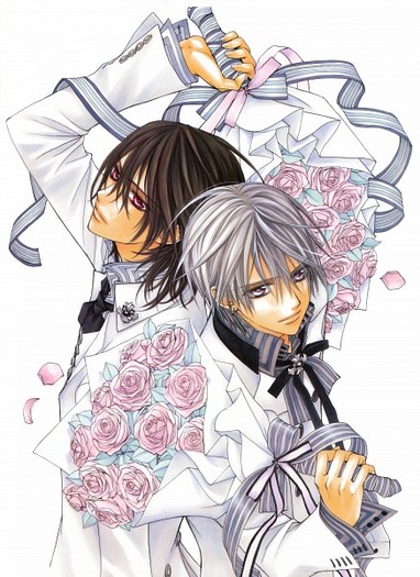 274811 - Vampire Knight Illustrations