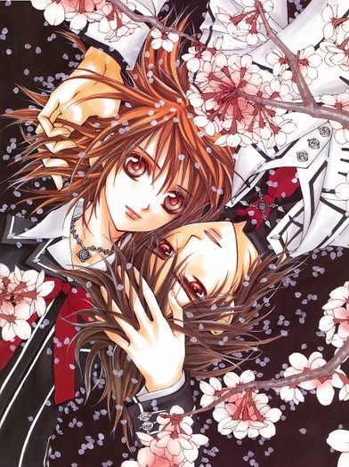 275811 - Vampire Knight Illustrations