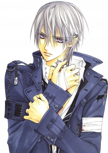 370815 - Vampire Knight Illustrations