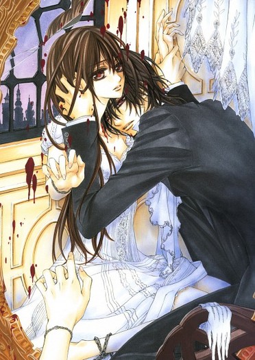 370885 - Vampire Knight Illustrations