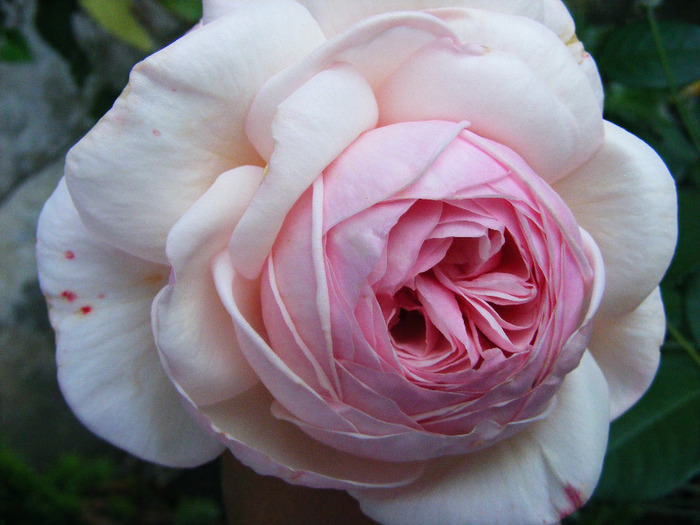 A SHROPSHIRE LAD