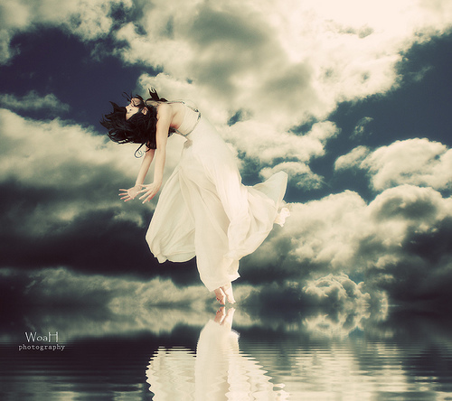 3255388467_707e7702b1