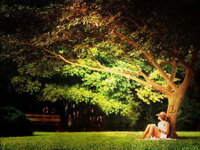 3709013532_1dc3b20f3f_z