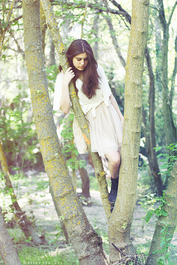 5724100994_d26b554378_z_large