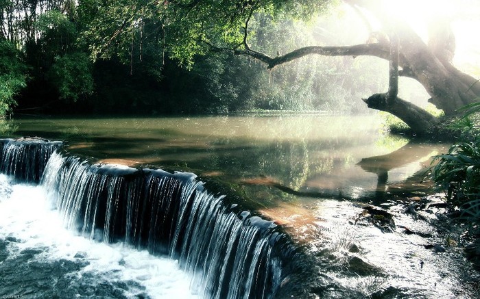 Water_Forest_-_Waterfalls_wallpapers_desktop - pic tel