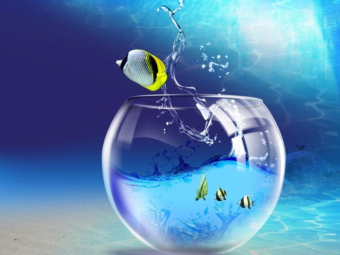 Windows_7_Wallpaper_-_Fish_Tank - pic tel