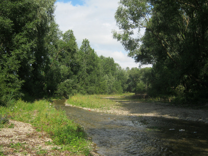 5 iulie 2011 044 - vara 2011 - la Ocea