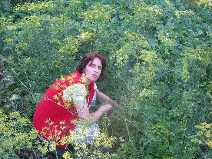 5 iulie 2011 060