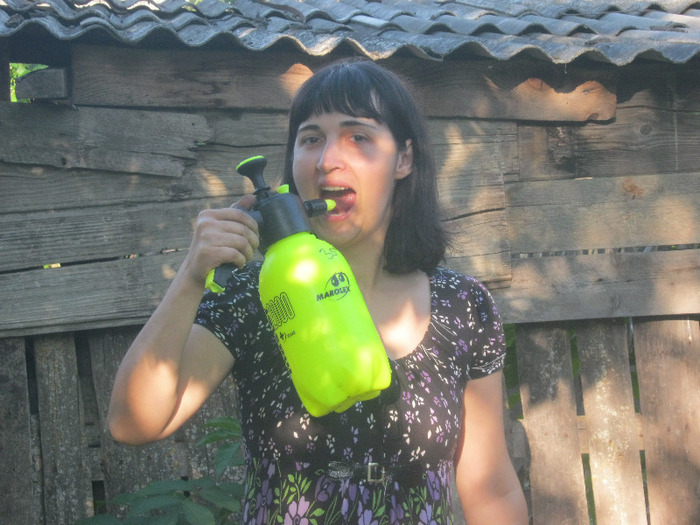 5 iulie 2011 070