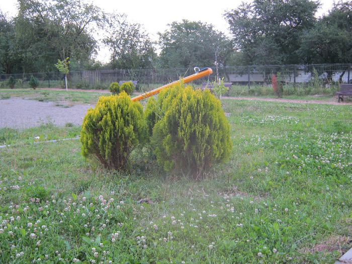 5 iulie 2011 075