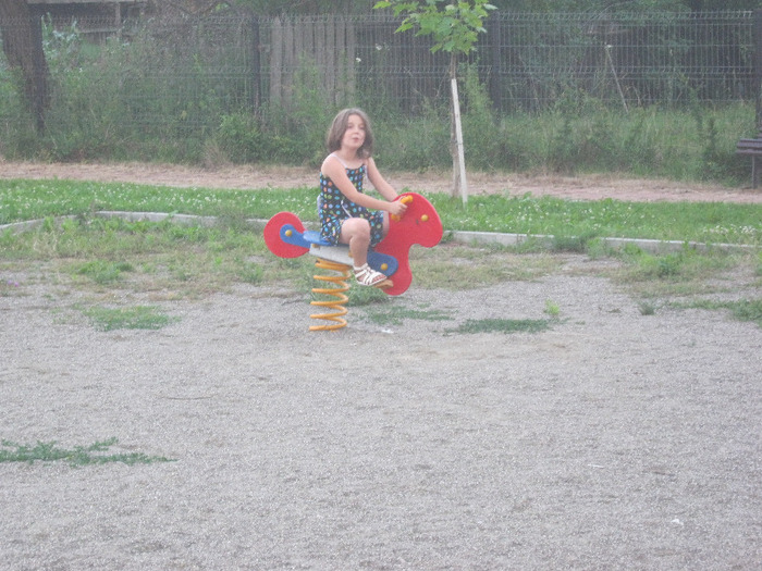 5 iulie 2011 087