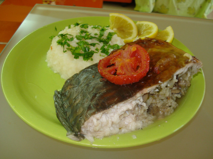 SALONTA - GUSTOSENII