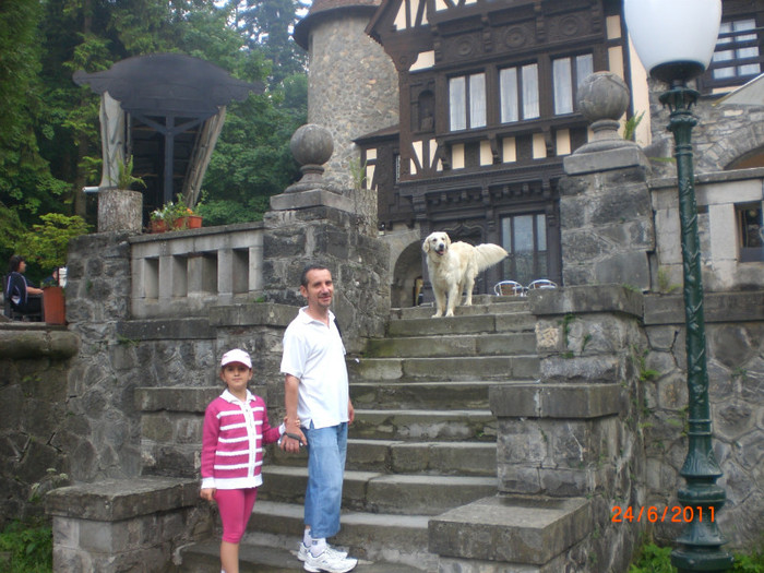 CIMG1755 - sinaia 2011