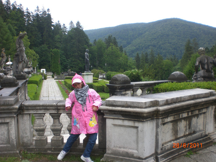 CIMG2012