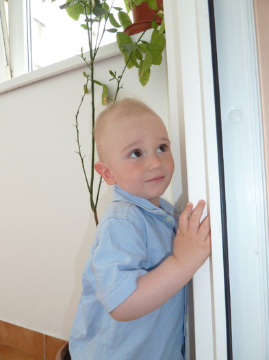 P1070588 - Andrei 1 an si 6 luni