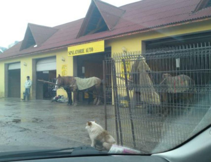 sau spalatorie...hipo?