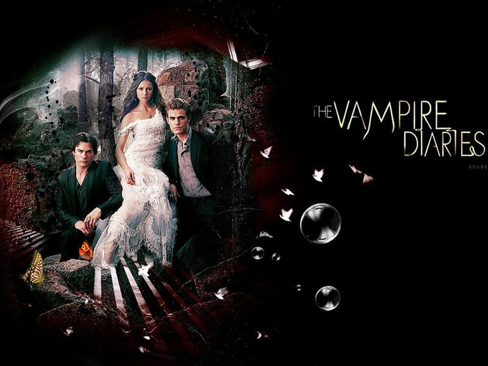 The-Vampire-Diaries-the-vampire-diaries-20830184-800-600