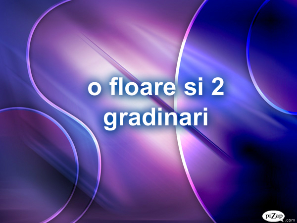 pizap.com13099639882501 - o floare si 2 gradinari